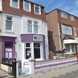 Myroomz Orchid 2* Blackpool